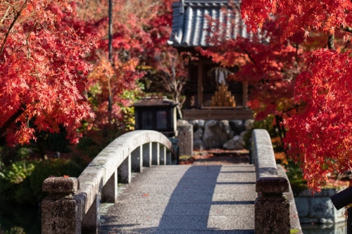 Coffee Etiquette in Japan: A Complete Guide to Kissaten Culture